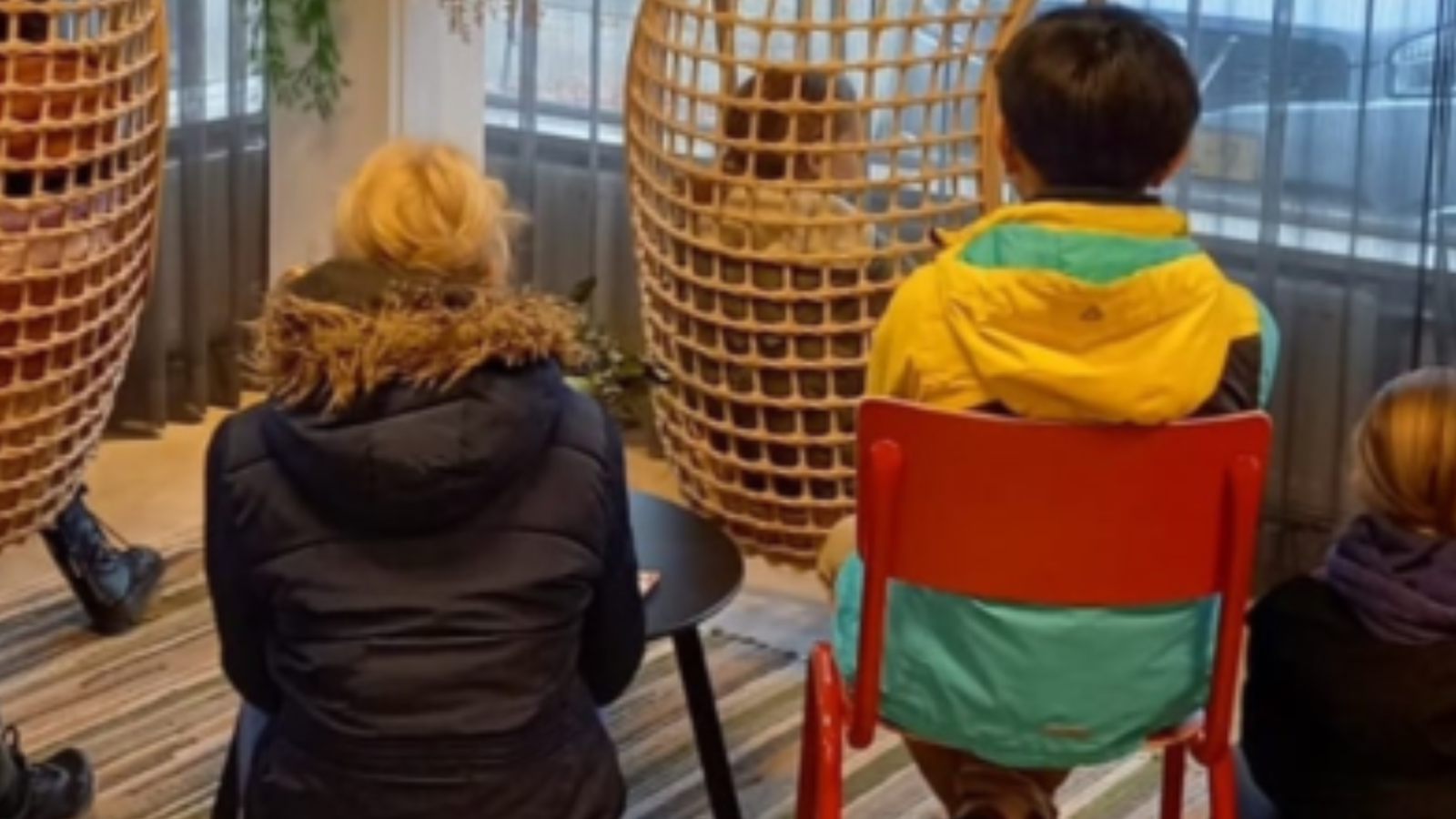 Foto van Stichting TEJO Nederland