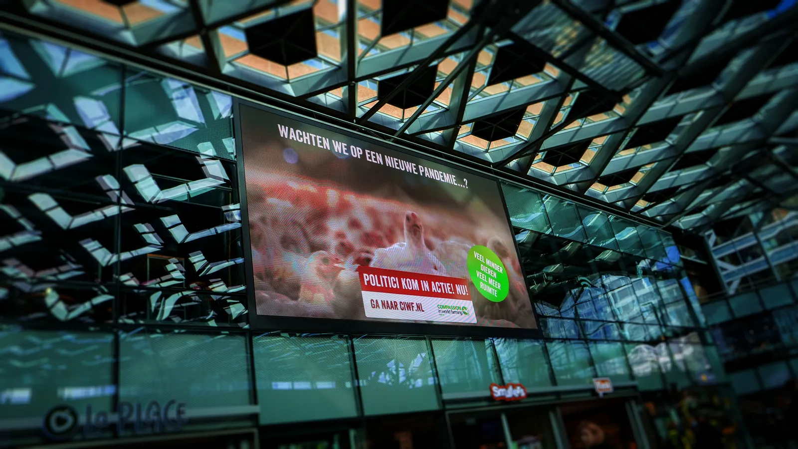 Foto van Compassion in World Farming