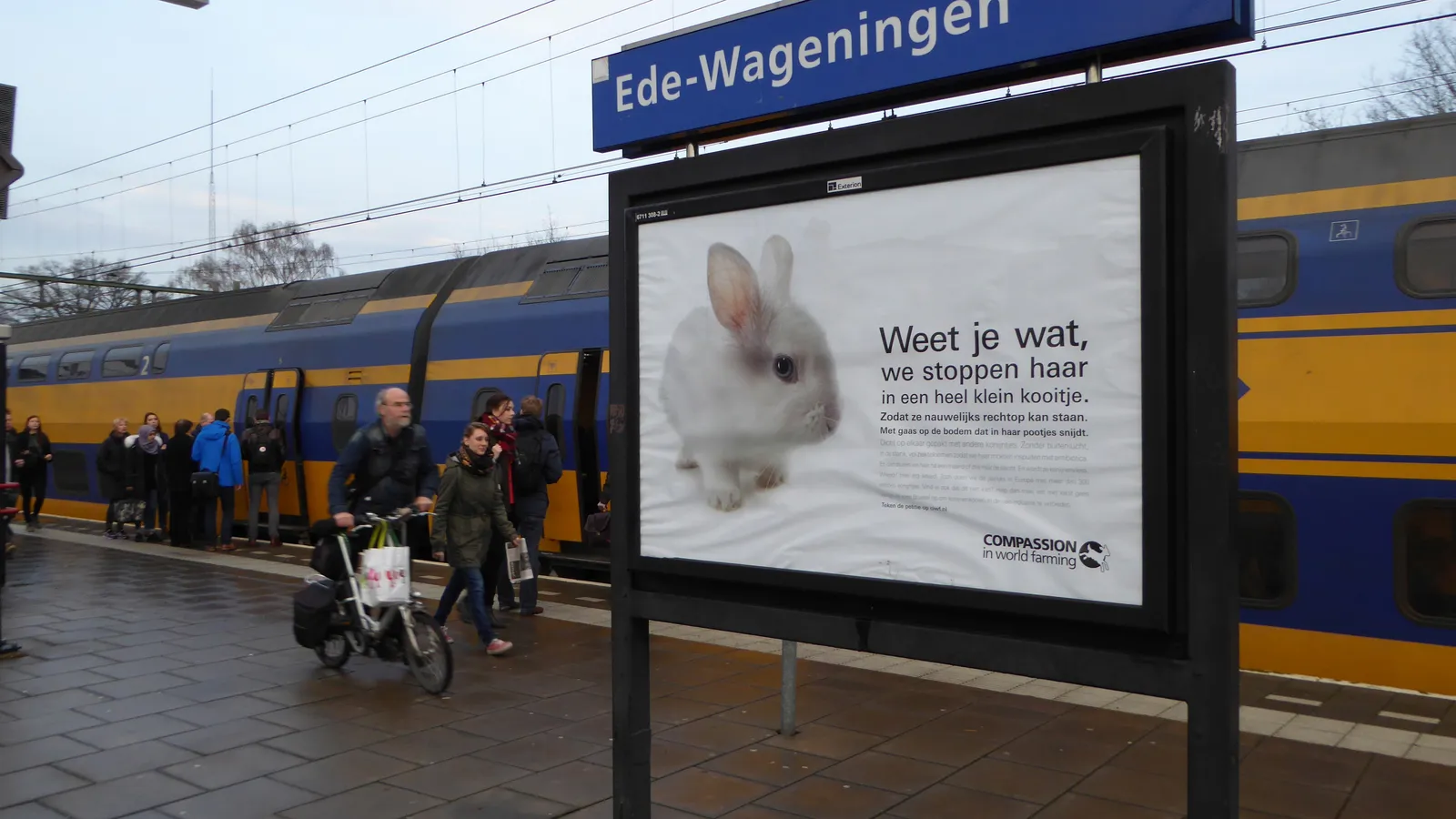 Foto van Compassion in World Farming