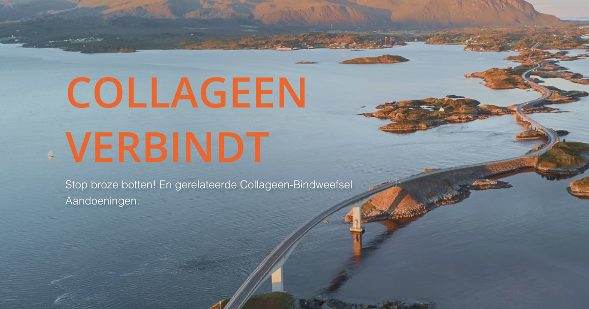Google Formulier Voor Stichting Power Of Reflection