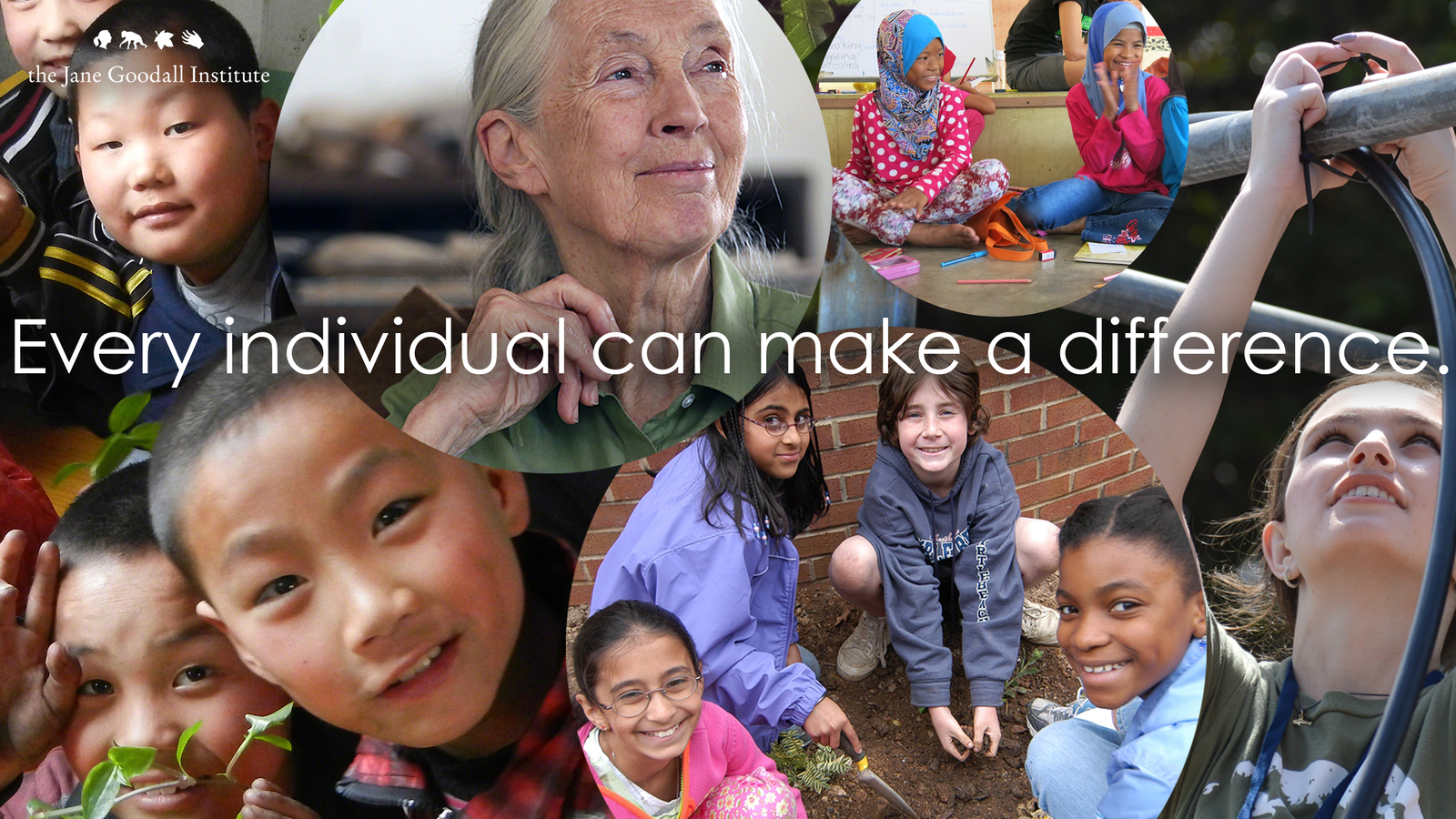 Jane Goodall Instituut Nederland foto 15