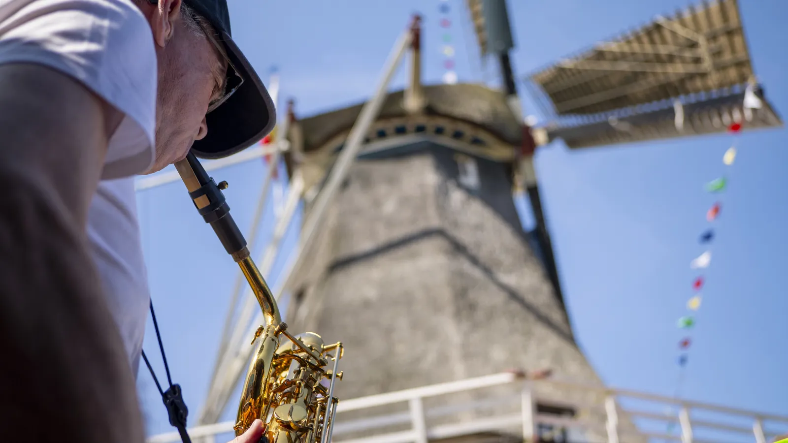 De Hollandsche Molen foto 1