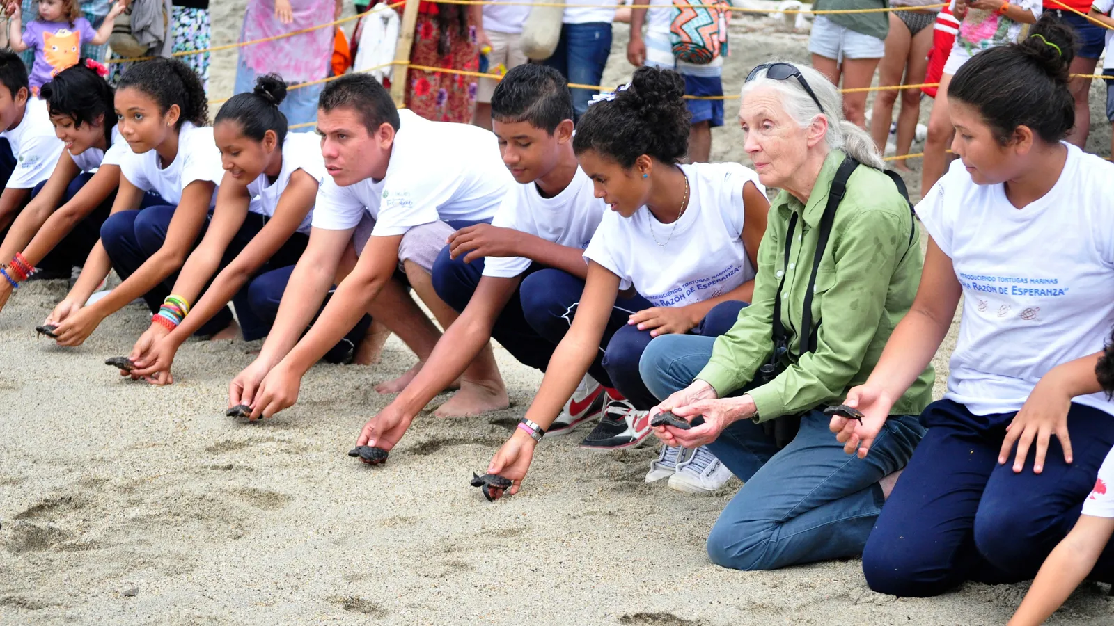 Jane Goodall Instituut Nederland foto 3
