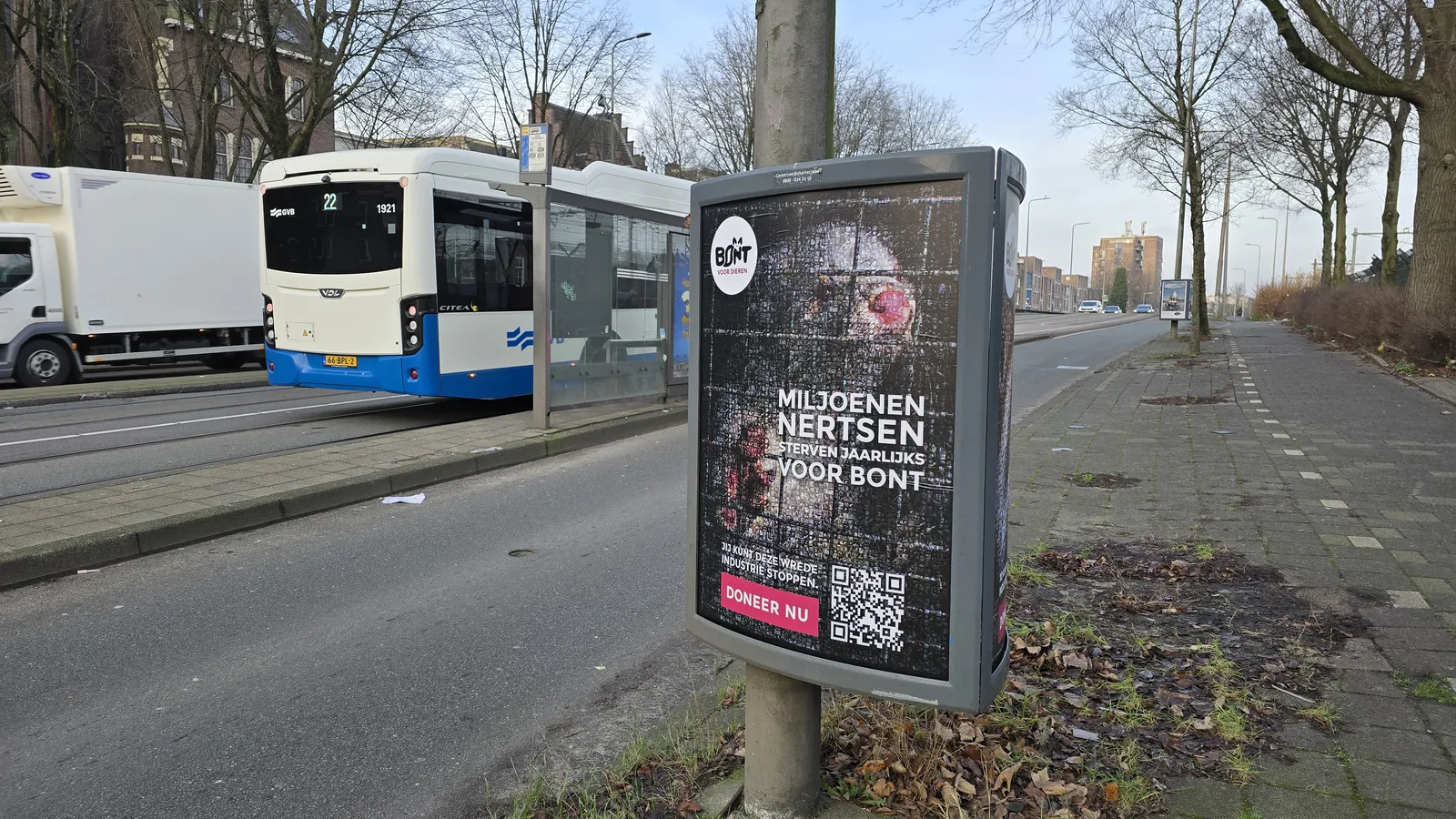 Stichting Bont voor Dieren foto 9