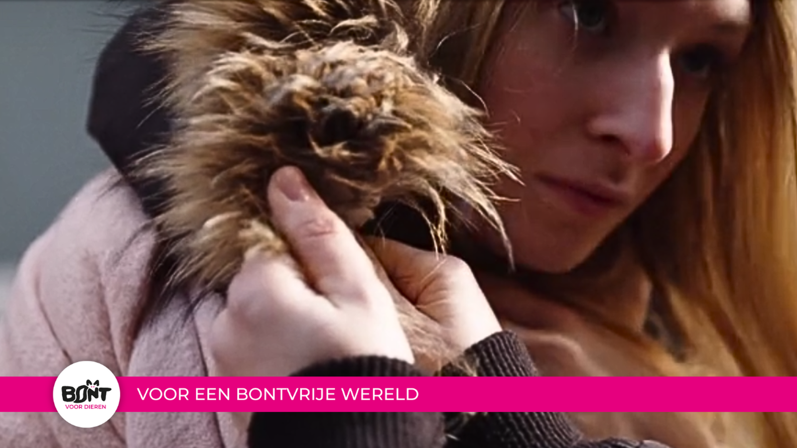 Stichting Bont voor Dieren foto 11