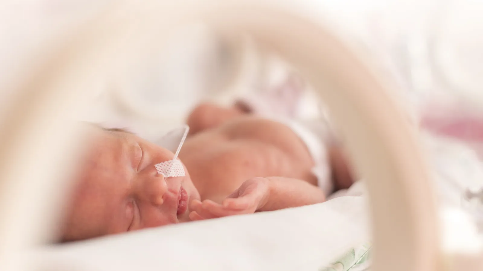 Strong Babies foto 10