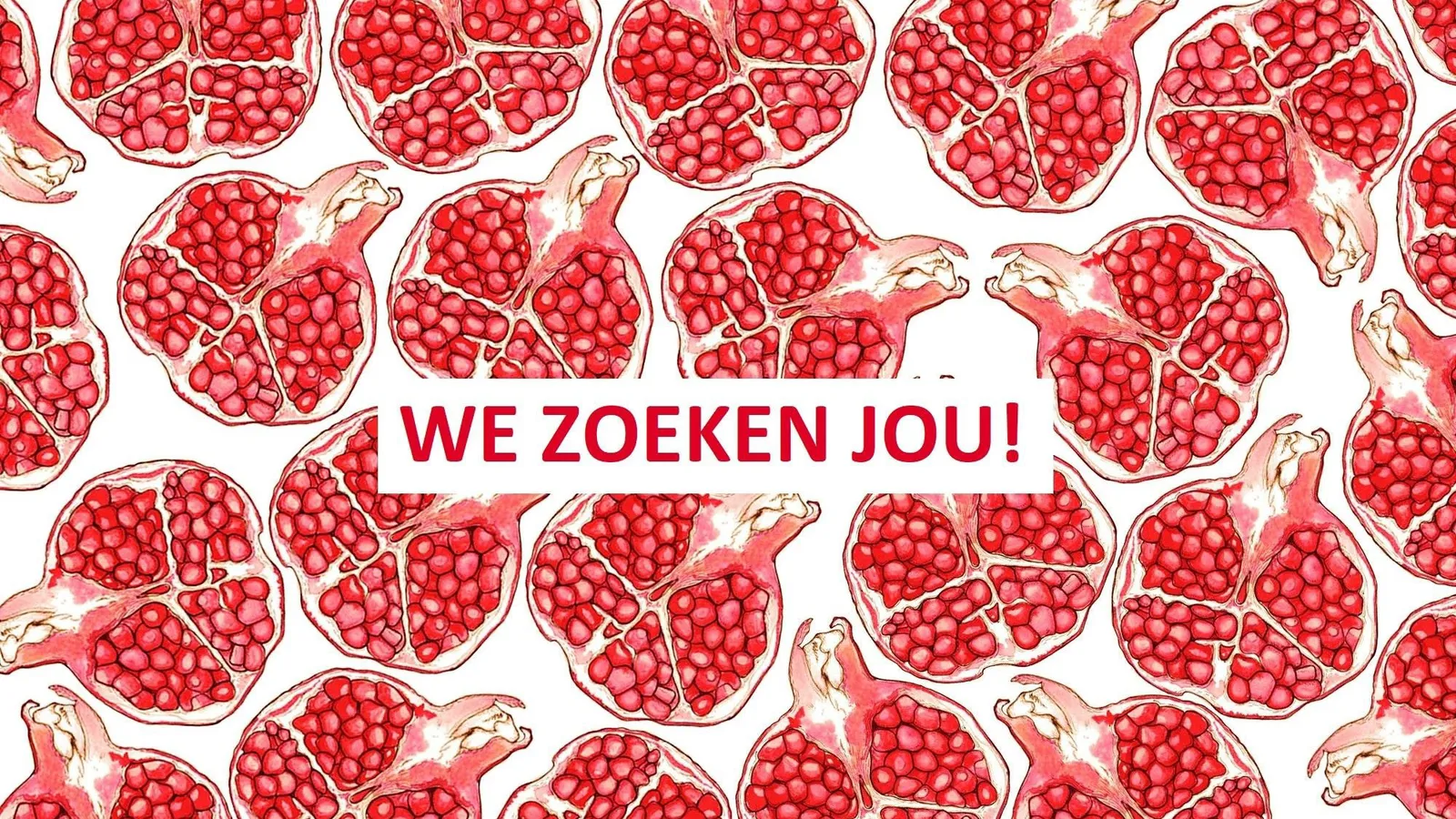 Stichting Granate foto 6