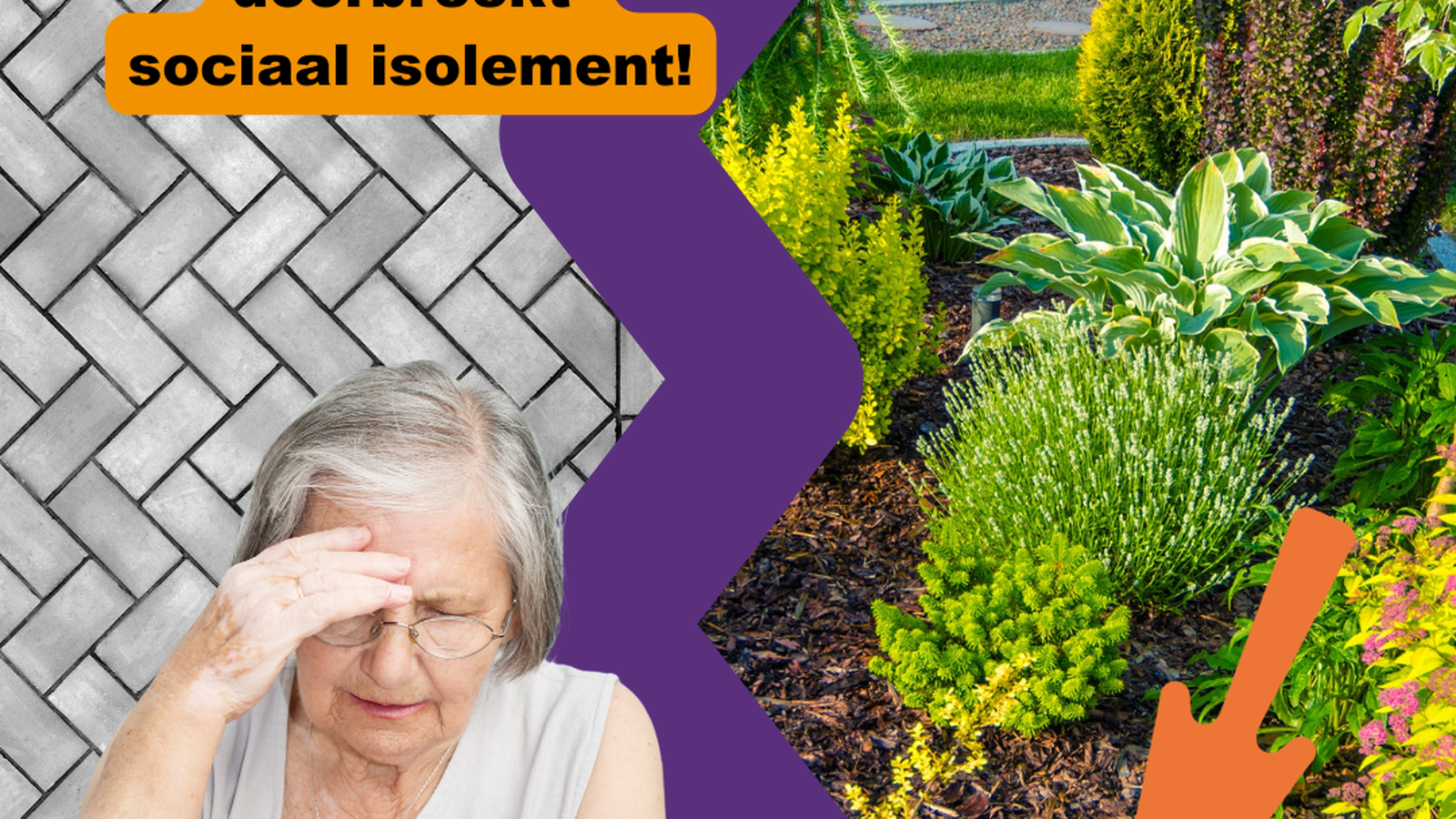 Stichting Sociaal Tuinieren foto 5