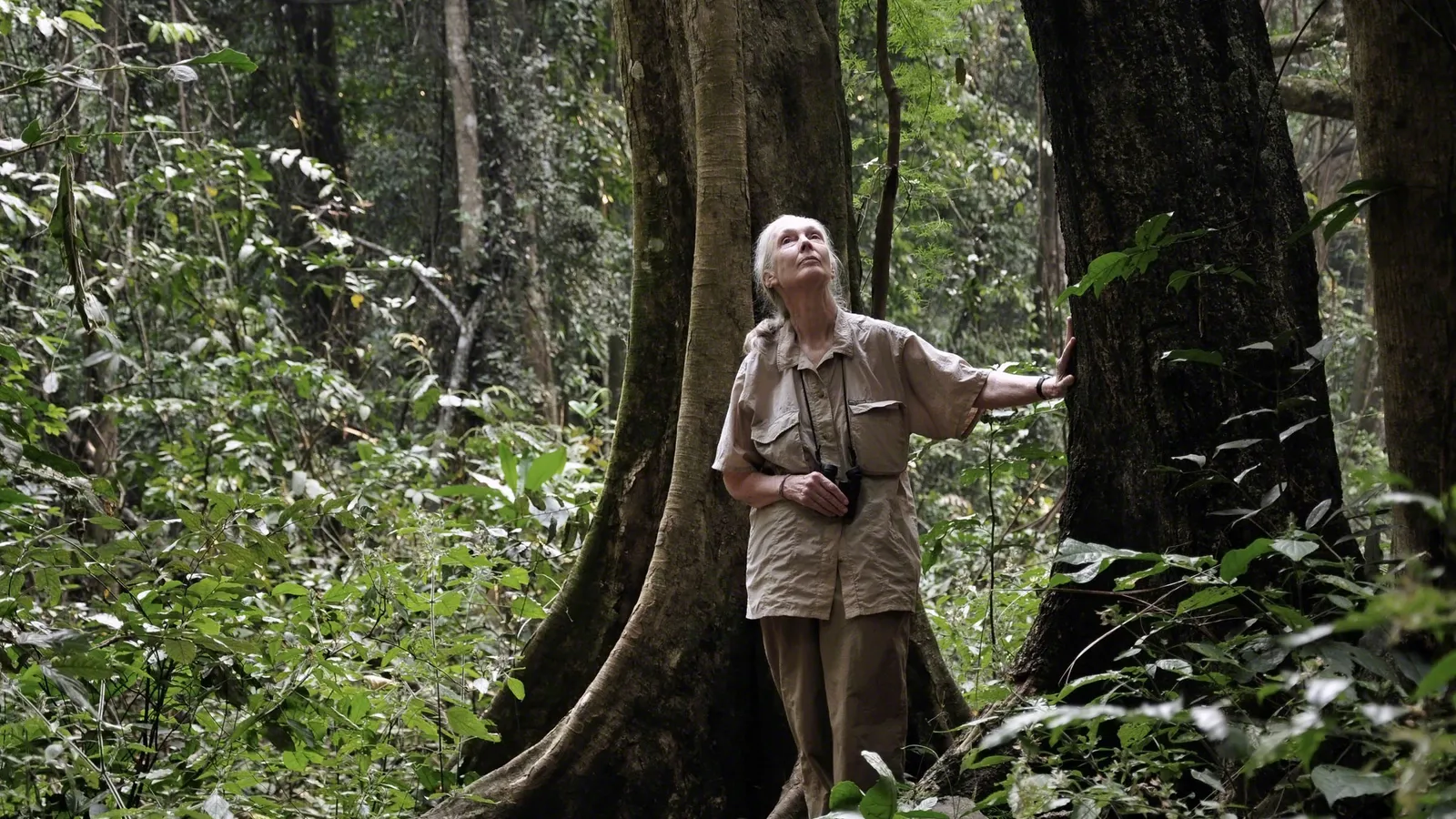 Jane Goodall Instituut Nederland foto 10