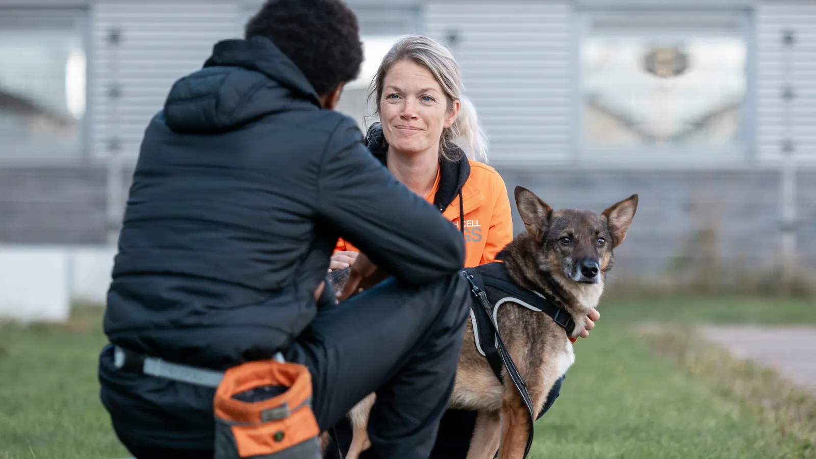 Dutch Cell Dogs foto 12