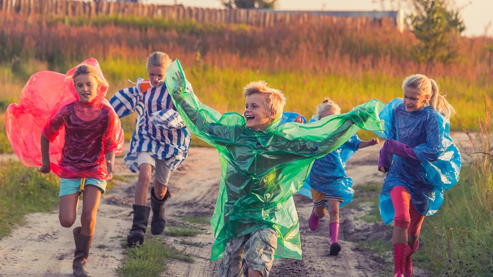 De Nederlandse Vereniging voor Pleeggezinnen foto 5