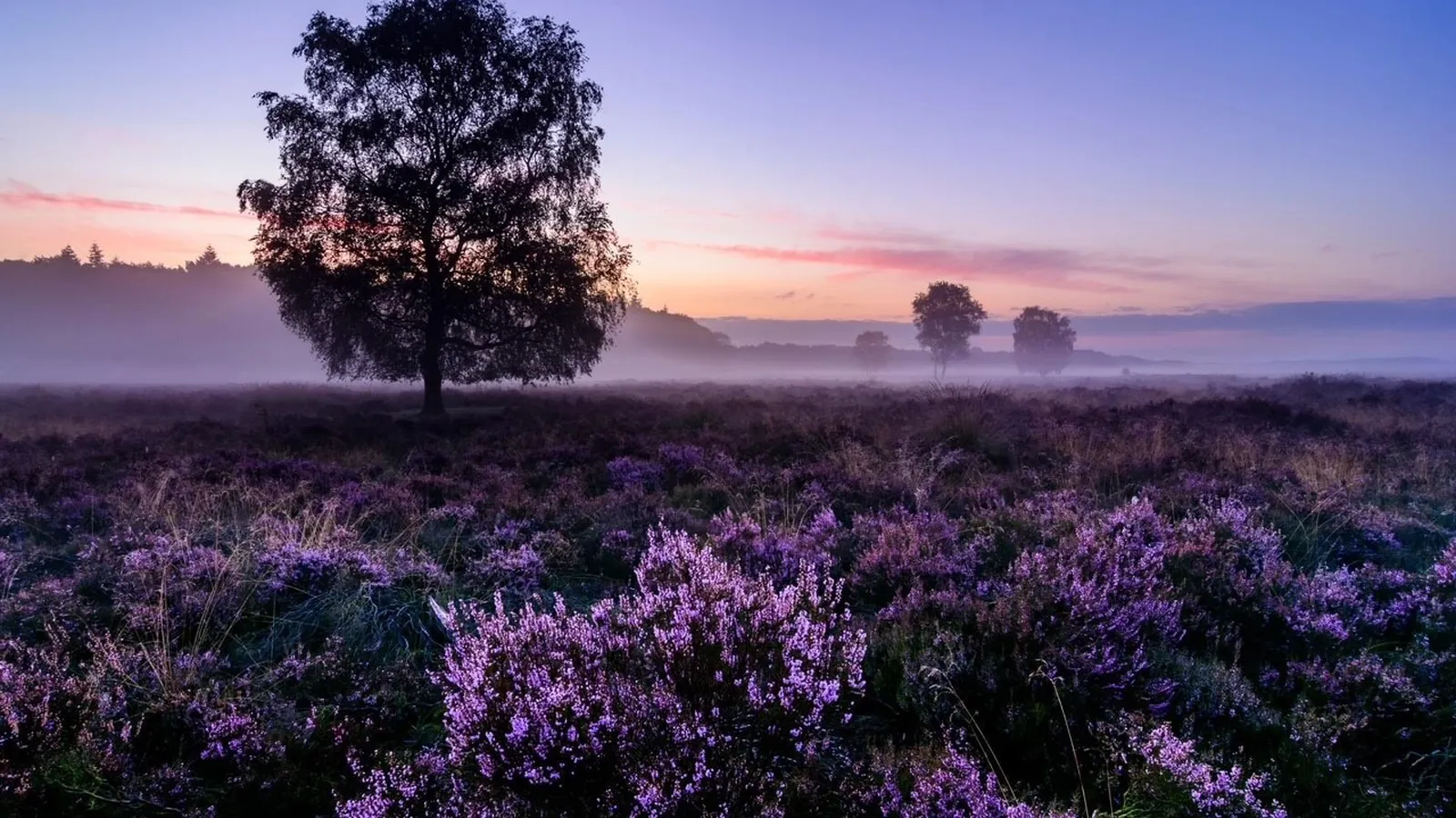 Geldersch Landschap & Kasteelen foto 1