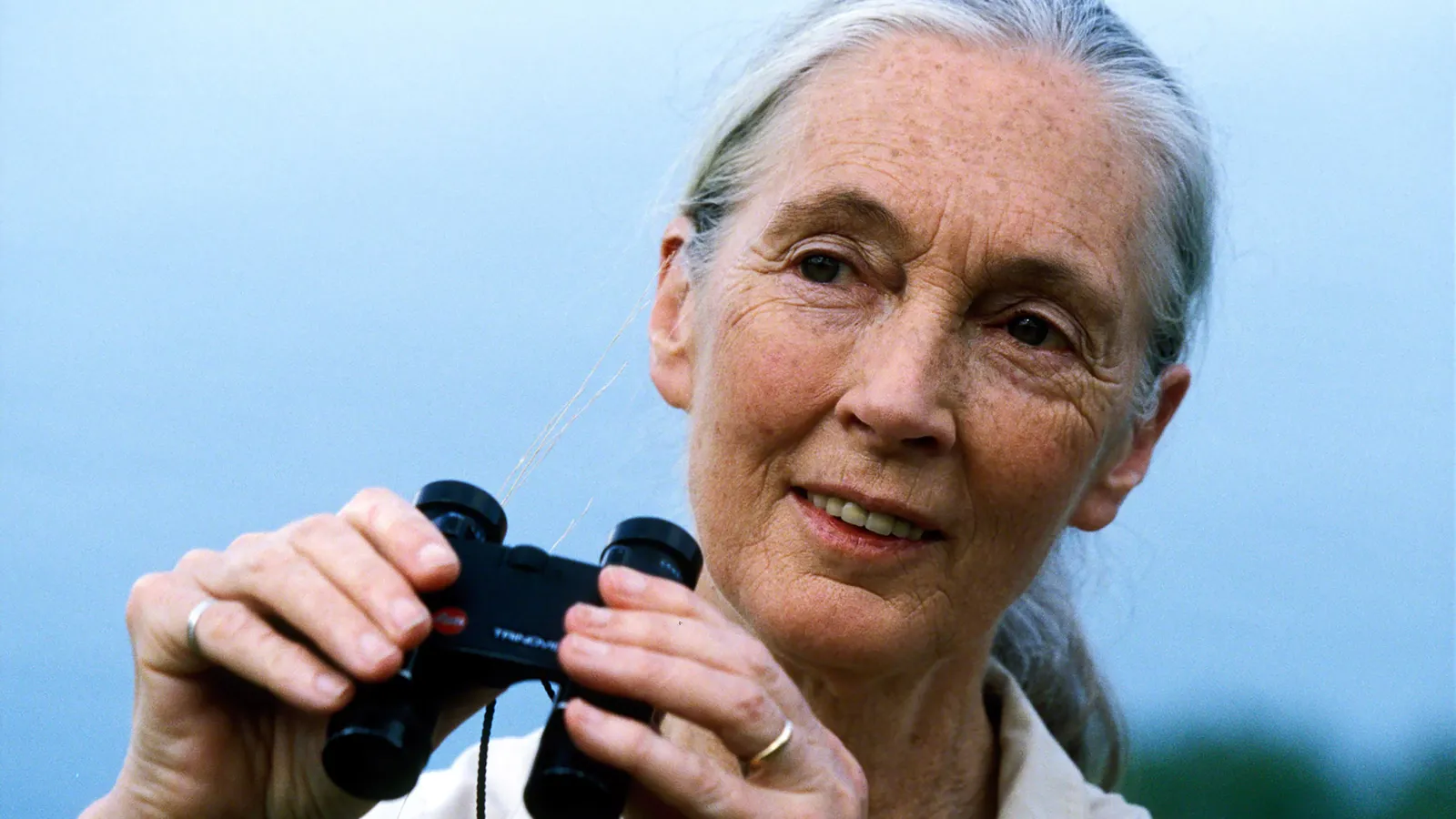 Jane Goodall Instituut Nederland foto 11