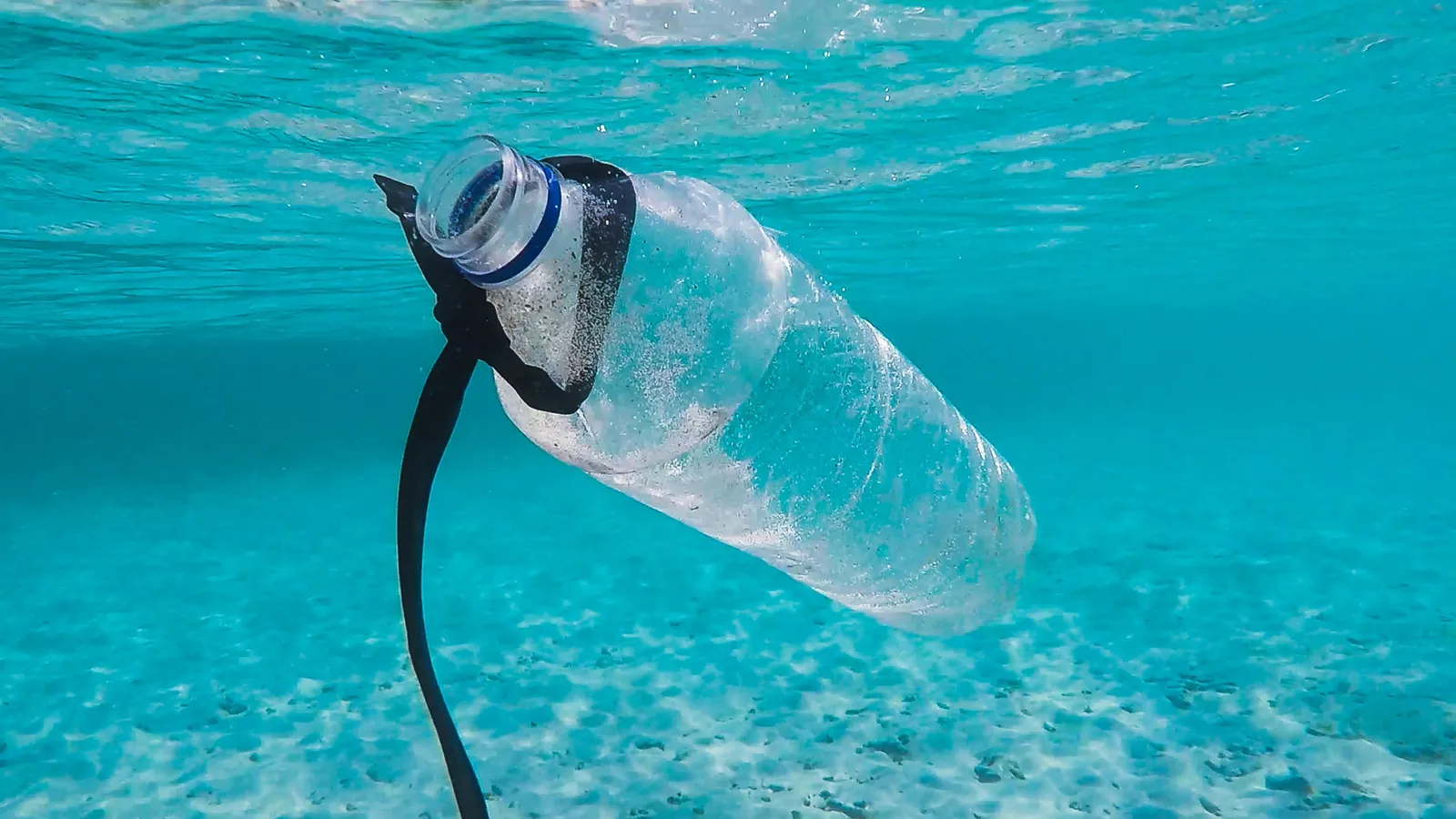 Plastic Soup Foundation foto 3