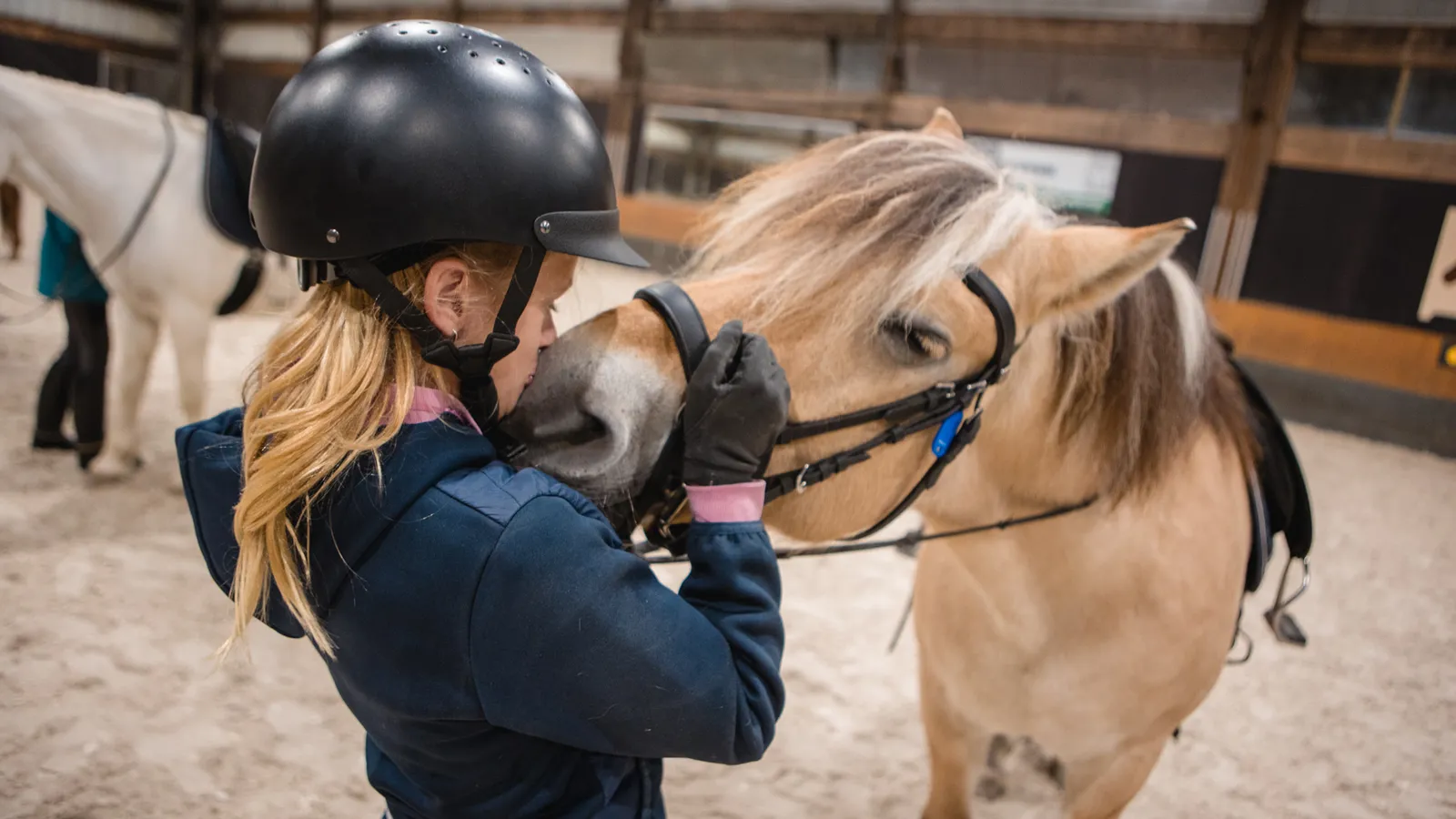 Prins Willem Alexander manege - Vereniging Paardrijden Gehandicapten foto 1