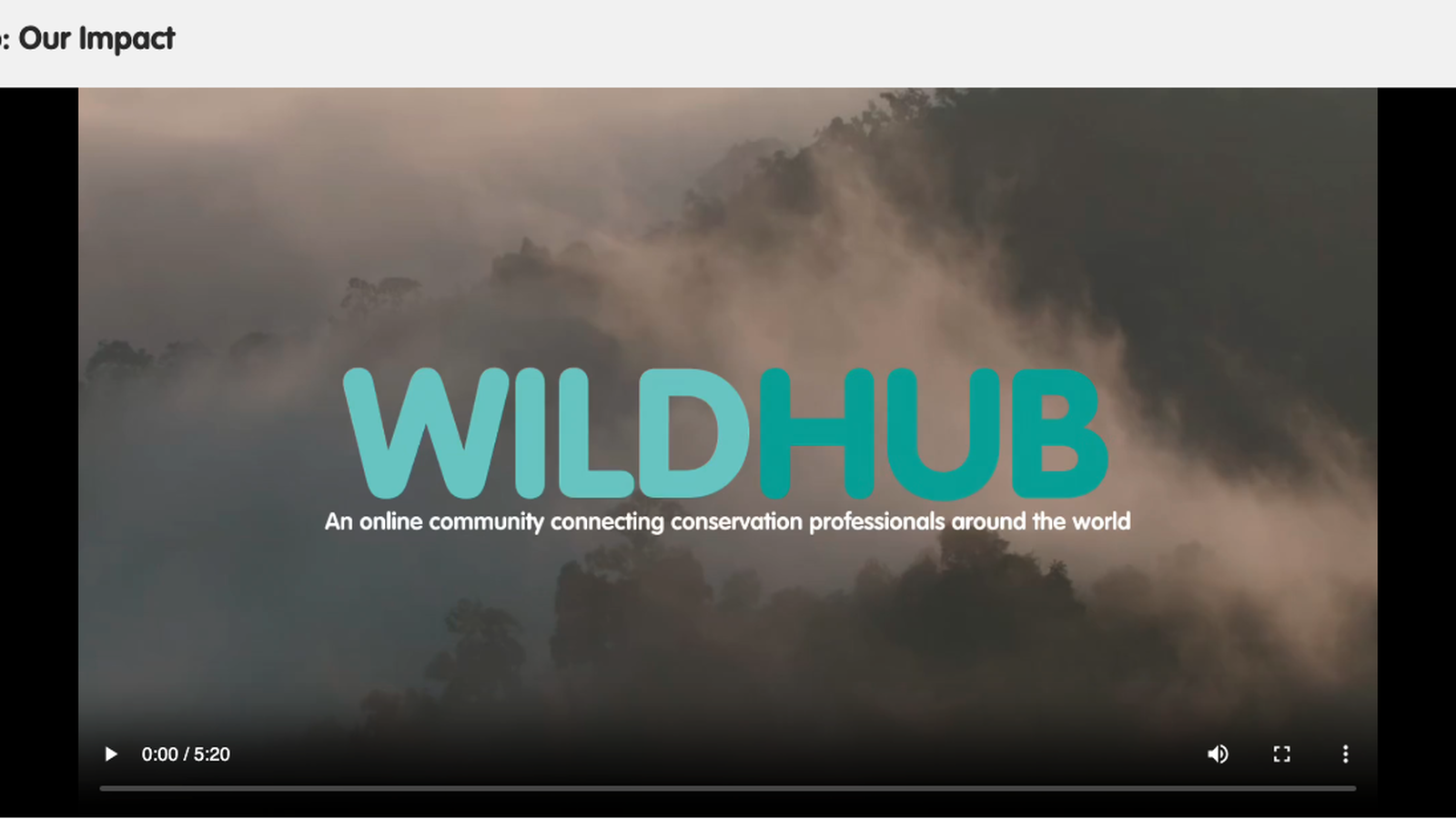 WildHub foto 4