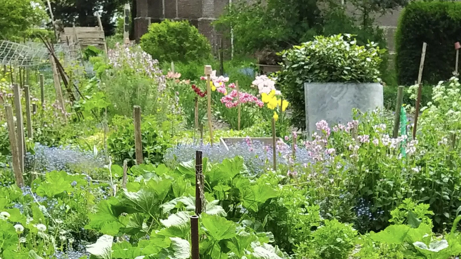 De Beemster Wereldtuin foto 1