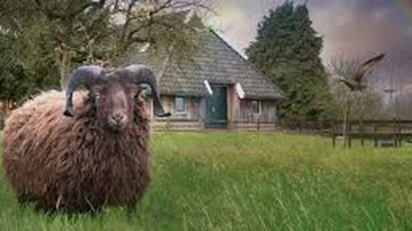 Zorggroep de Hooimijt foto 4