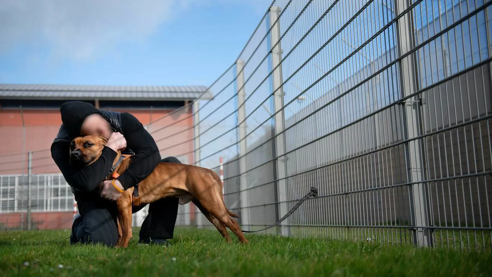 Dutch Cell Dogs foto 7