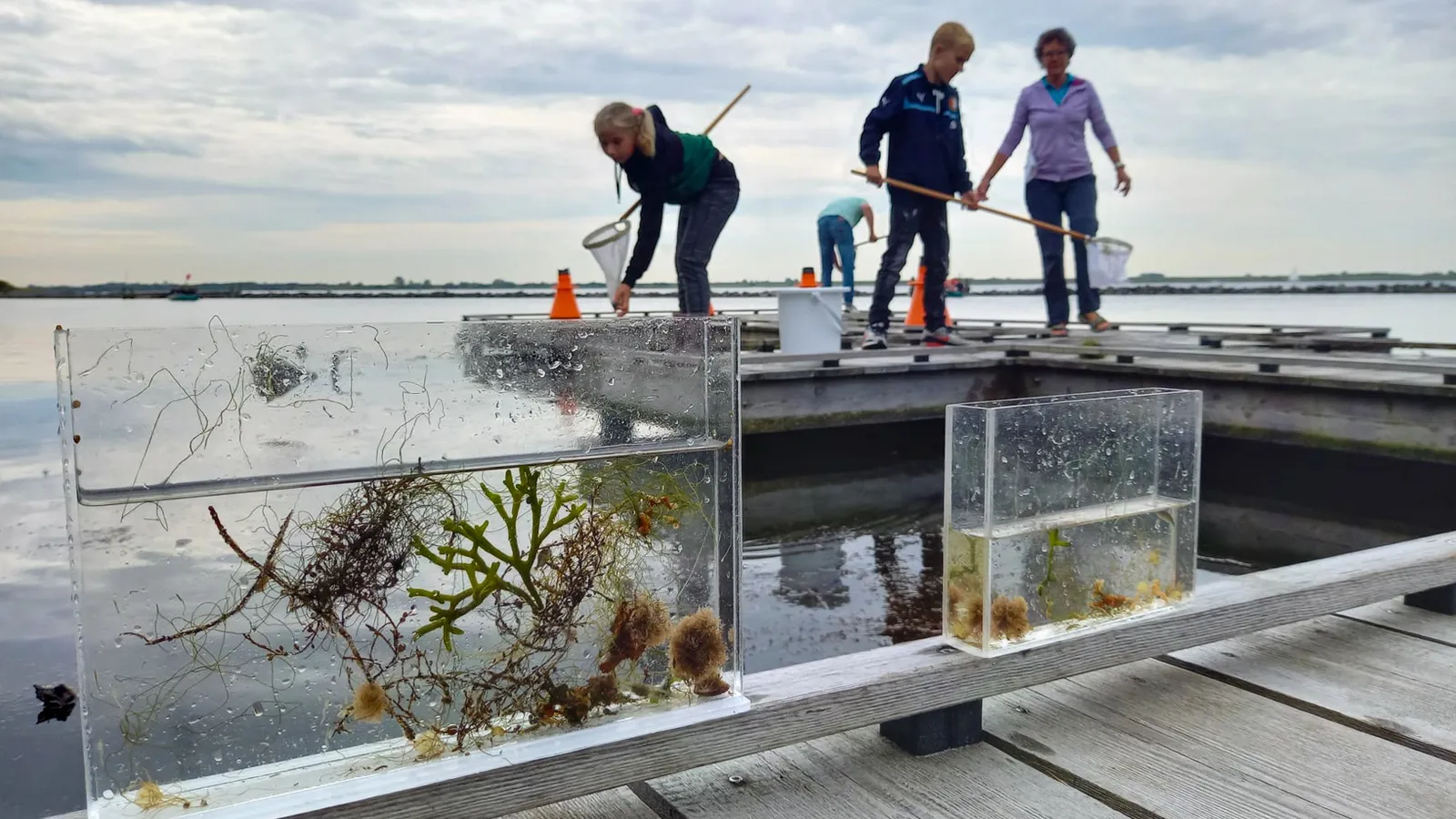Stichting Natuur en Milieueducatie Schouwen-Duiveland foto 1