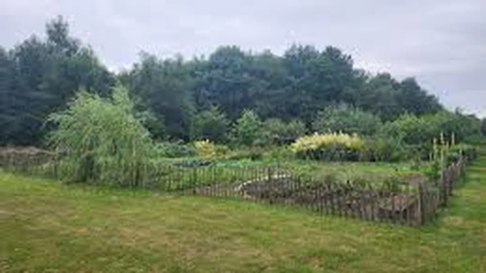 Zorggroep de Hooimijt foto 6
