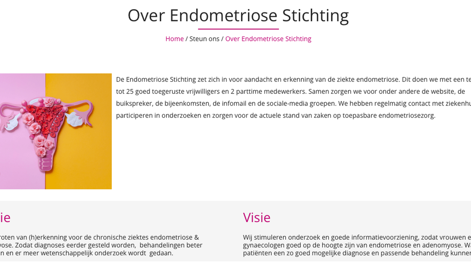 Endometriose Stichting foto 6