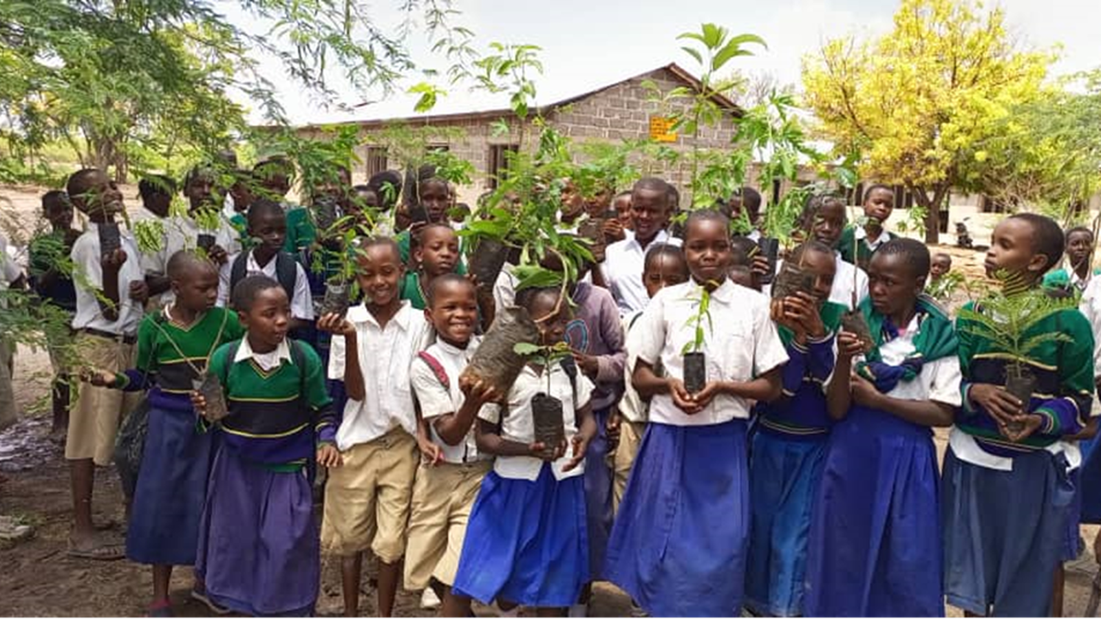 Greenmanjaro Foundation foto 1
