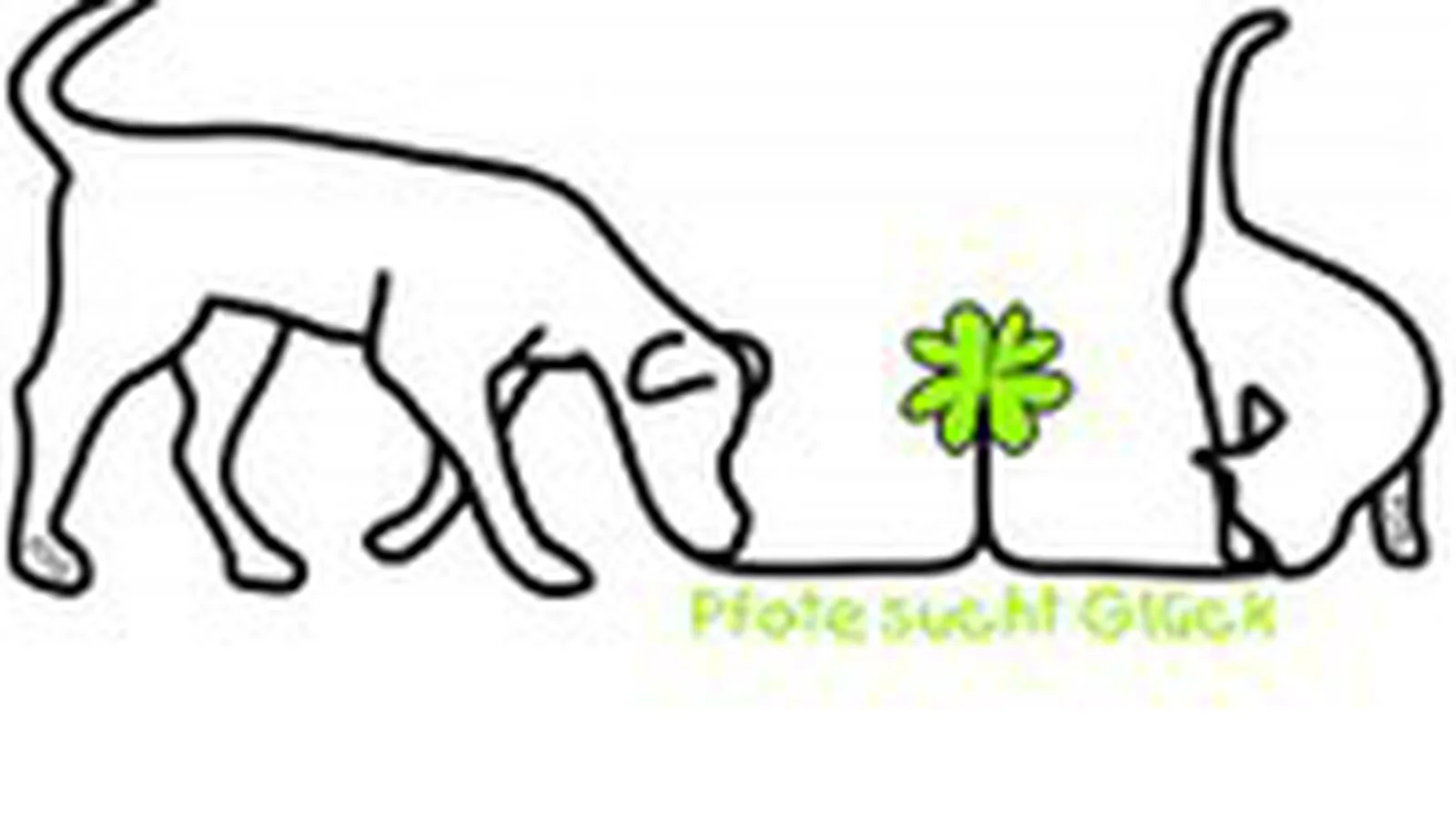 Pfote sucht Glück e.V Foto 2