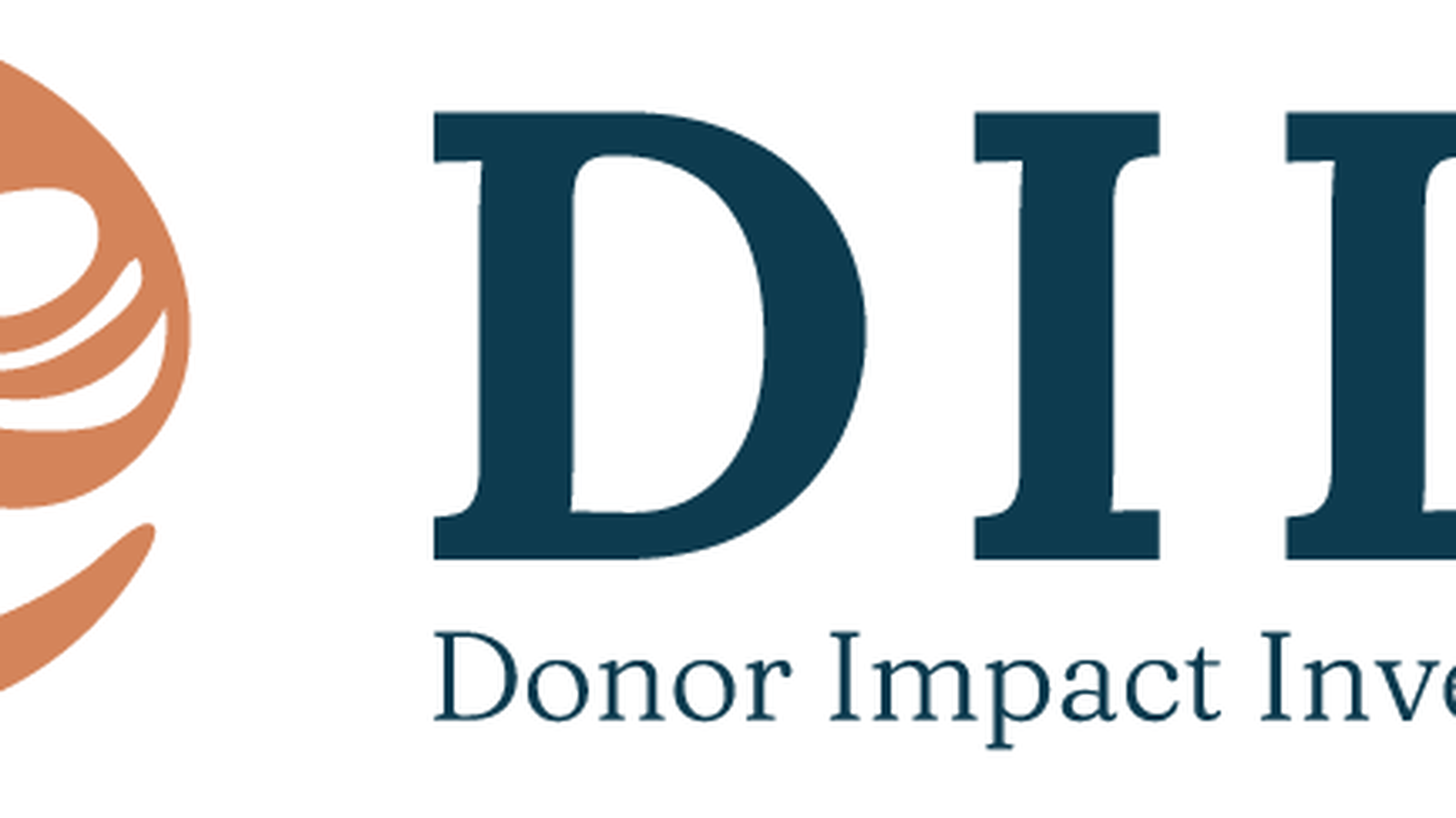 Stichting Donor Impact Invest Fund foto 1