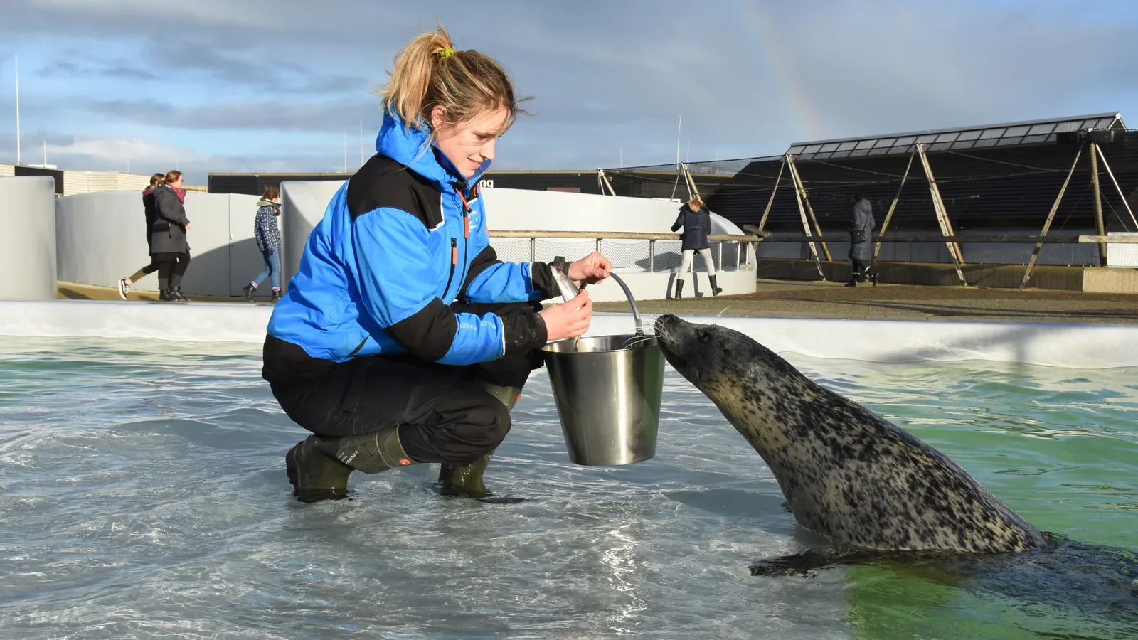 Stichting Texels Museum foto 2