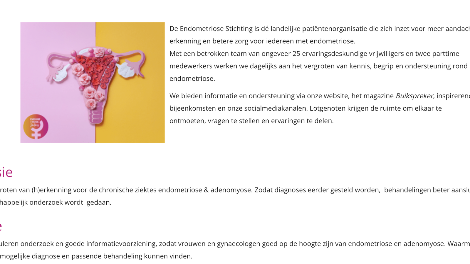 Endometriose Stichting foto 2