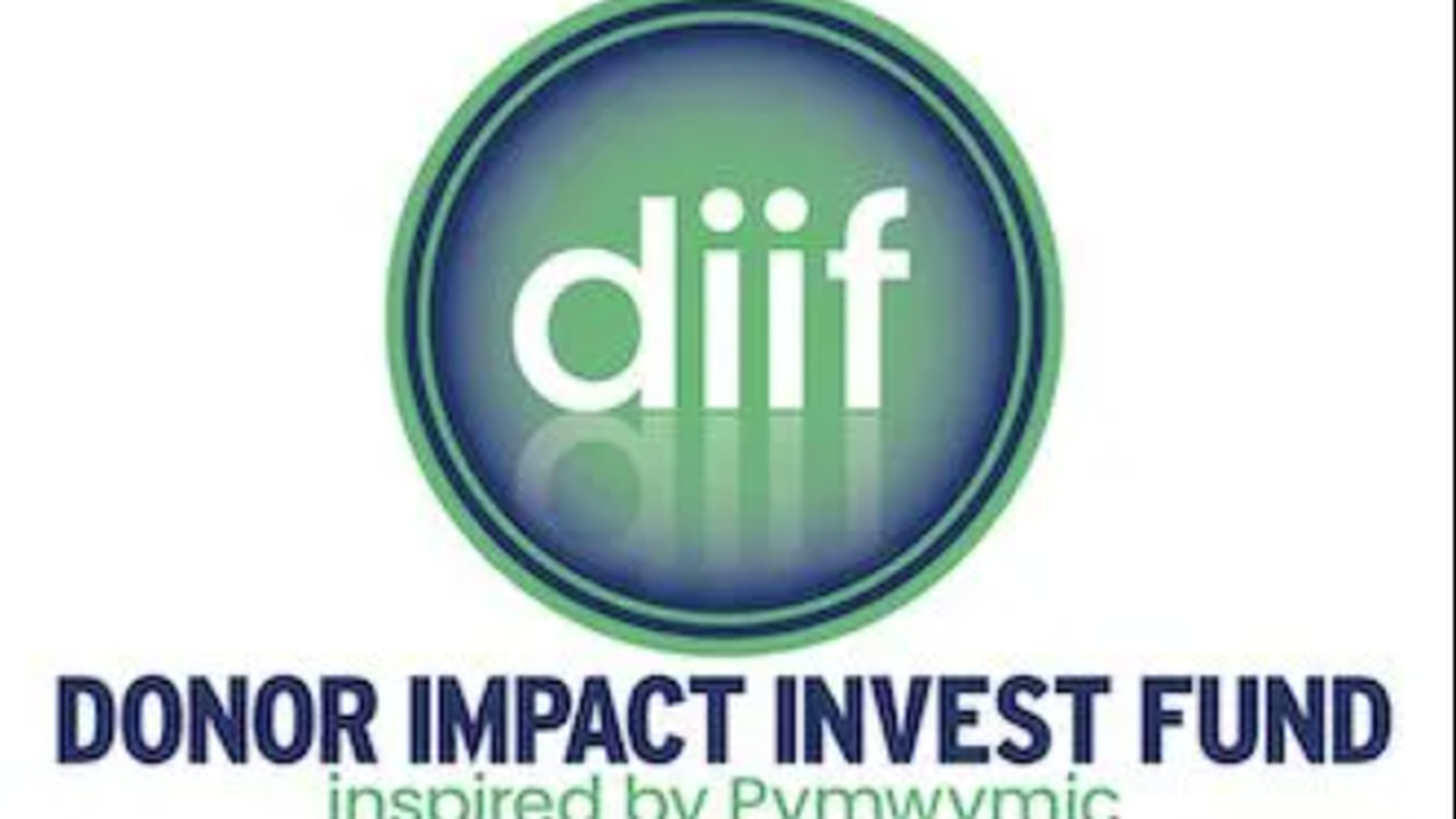 Stichting Donor Impact Invest Fund foto 2